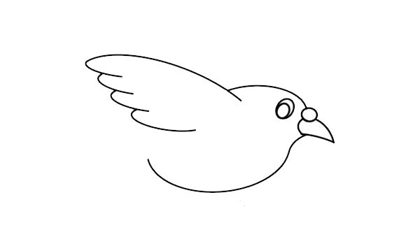 可爱白鸽子如何画简笔画简单又漂亮