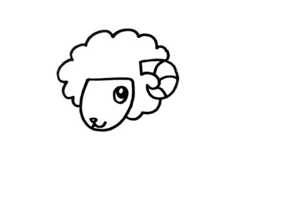 绵羊如何画 绵羊简笔画步骤图文教程