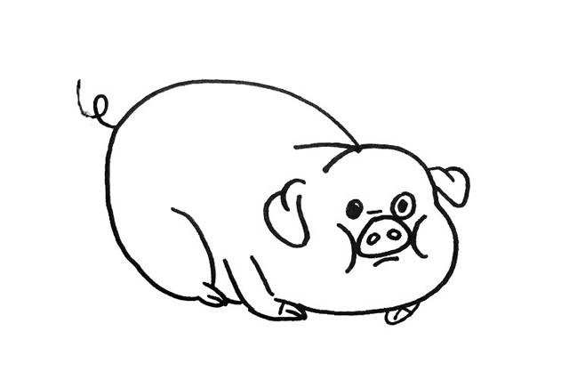可爱的小猪简单画法 - 小猪简笔画图片大全