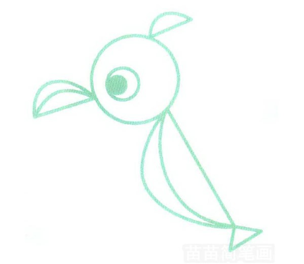鹦鹉简笔画步骤图解教程 - 鹦鹉的画法