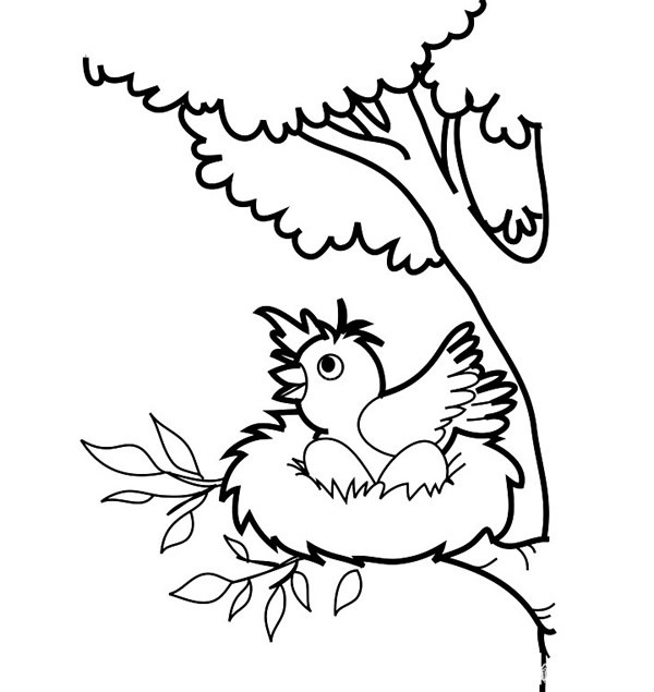 站在树枝上的小鸟简笔画图片大全