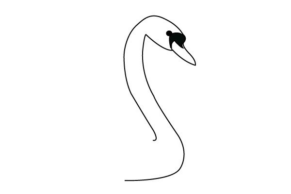 天鹅的简单画法步骤图解教程 天鹅简笔画