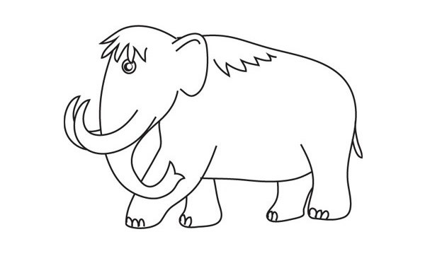 猛犸象的简单画法步骤图解教程 猛犸象简笔画