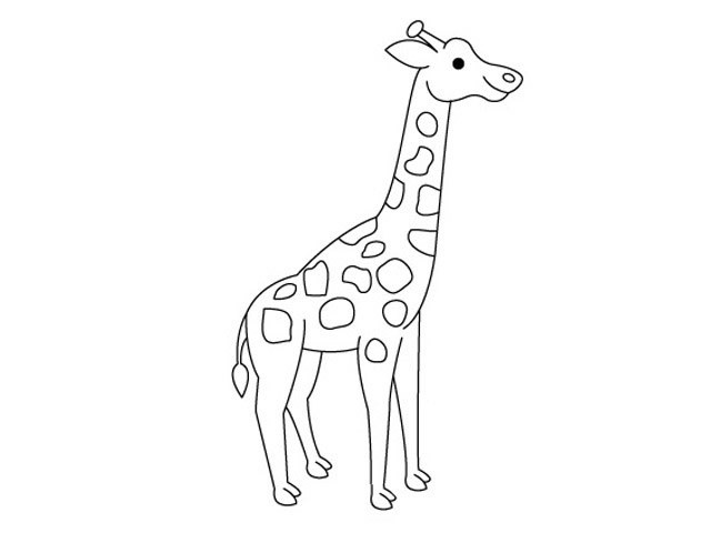 长颈鹿的简单画法步骤图解教程 长颈鹿简笔画