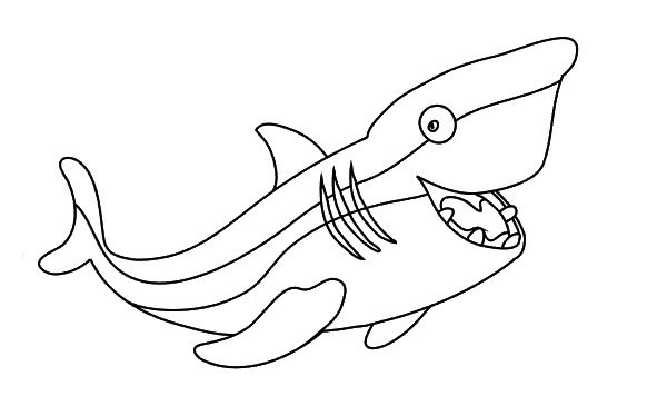 简单的海洋生物简笔画 卡通海洋生物简笔画图片大全