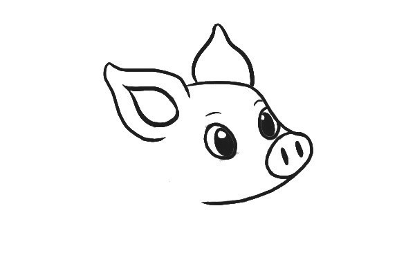 可爱的小猪简笔画步骤图解教程 一起来学画吧