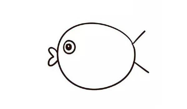 小胖鱼简笔画 简单九步画出小胖鱼简笔画步骤图片教程