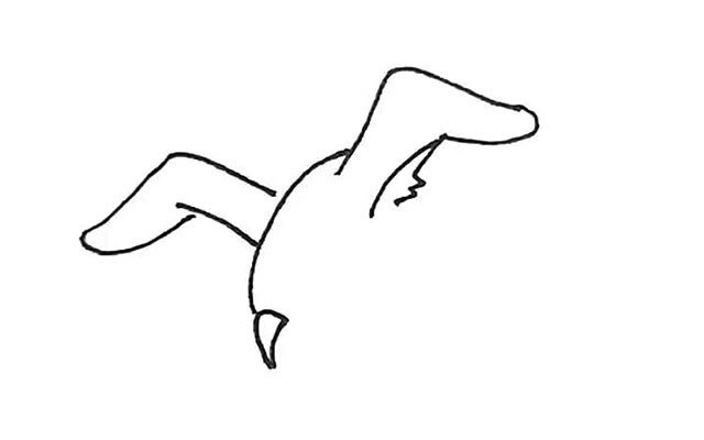 海鸥简笔画 海鸥彩色画法步骤图解教程