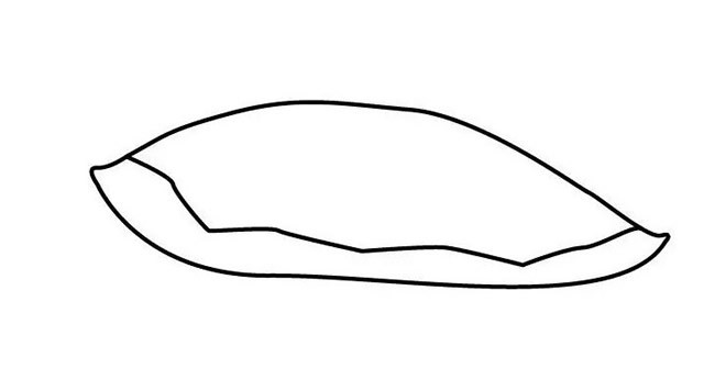 海龟简笔画 简单七步画出海龟简笔画步骤图解教程