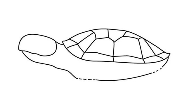 海龟简笔画 简单七步画出海龟简笔画步骤图解教程