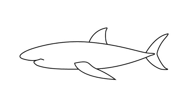 鲨鱼简笔画 简单七步画出大白鲨简笔画步骤图解教程