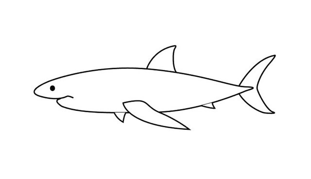 鲨鱼简笔画 简单七步画出大白鲨简笔画步骤图解教程