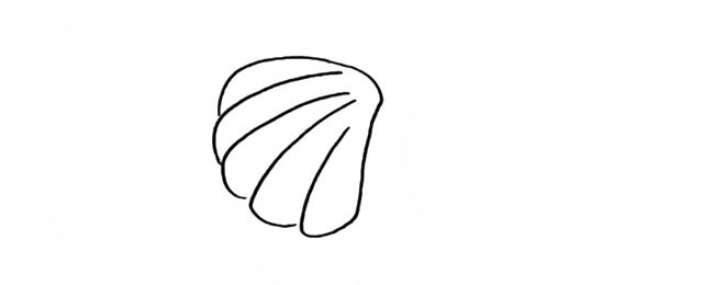 彩色贝壳如何画 学画贝壳简笔画步骤图解教程
