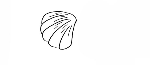 彩色贝壳如何画 学画贝壳简笔画步骤图解教程
