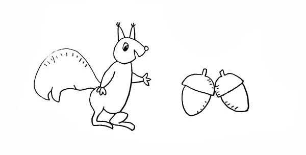 喜欢吃坚果的松鼠简笔画画法步骤图教程