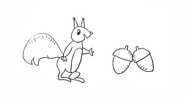 喜欢吃坚果的松鼠简笔画画法步骤图教程
