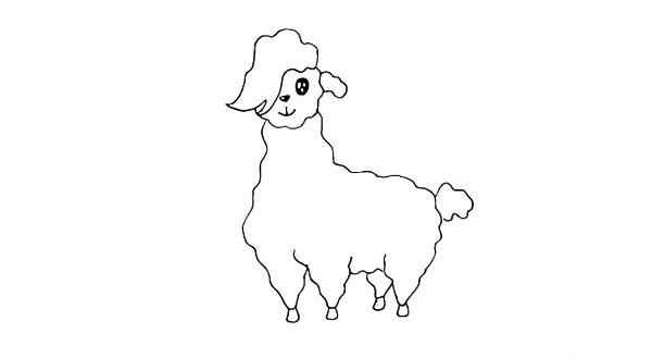 羊驼如何画 羊驼简笔画步骤图教程