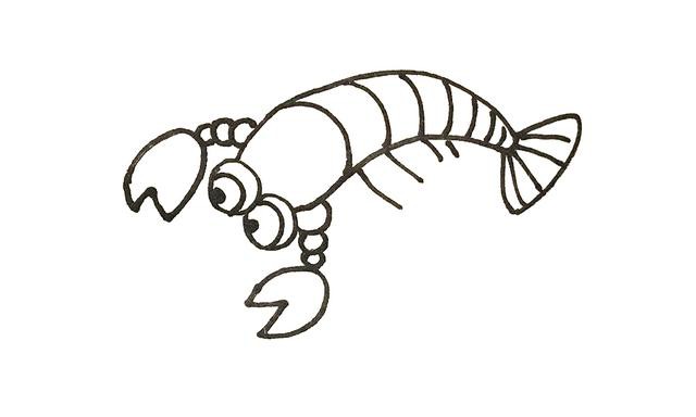 12种简单可爱的卡通海洋生物简笔画图片大全