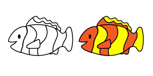 10种不同的海洋生物简笔画 一起画海底世界的小鱼吧