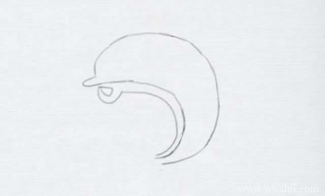 教大家学画海豚简笔画,内附详细步骤图解教程