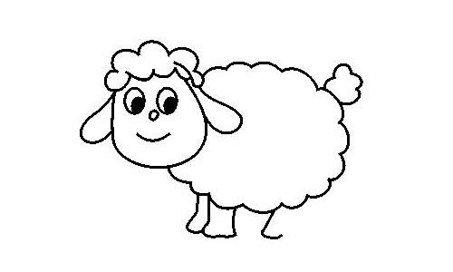 教你画一只绵羊简笔画的画法步骤图片大全