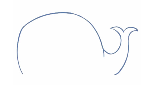 卡通鲸鱼简笔画的画法步骤图解及图片大全