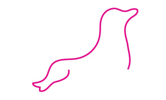 海豹简笔画的画法步骤教程&amp;#8203;及图片大全