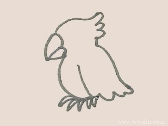 鹦鹉简笔画的画法步骤图解教程