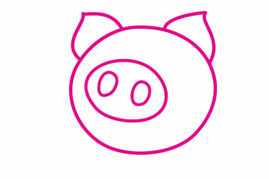 小猪简笔画的画法步骤教程及图片大全