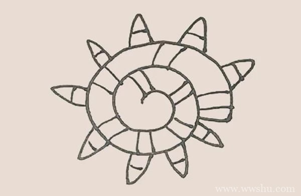 海螺简笔画的画法步骤图解教程