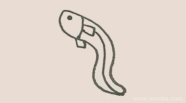 鳗鱼简笔画的画法步骤图教程