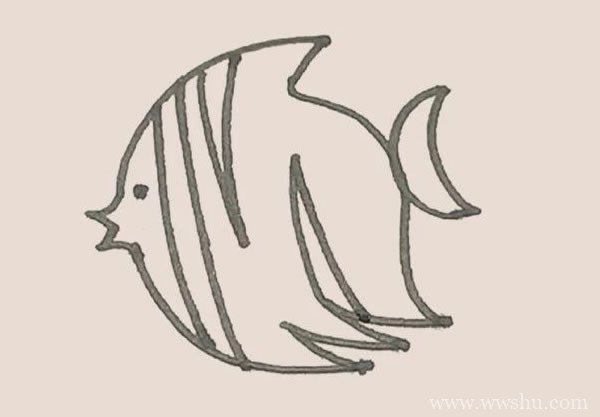 热带鱼简笔画的画法步骤图解教程