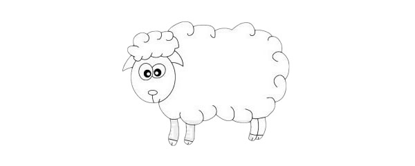 超简单的可爱绵羊简笔画步骤图解教程及图片大全