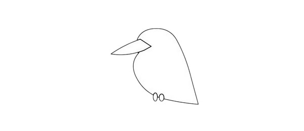 简单的翠鸟简笔画步骤图解教程及图片大全