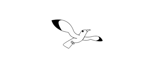 超简单的海鸥简笔画画法步骤图解教程及图片大全