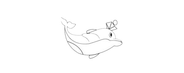 海豚简笔画简单画法步骤图解及图片大全