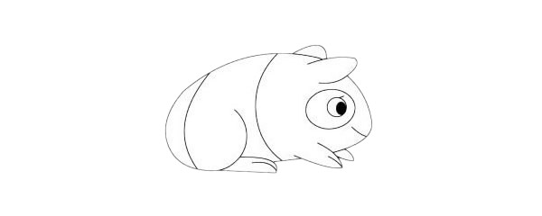 荷兰猪简笔画简单画法步骤图解及图片大全