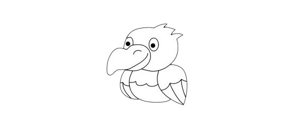卡通鹦鹉简笔画简单画法步骤教程及图片大全