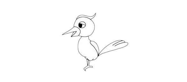 卡通啄木鸟简笔画画法步骤教程及图片大全