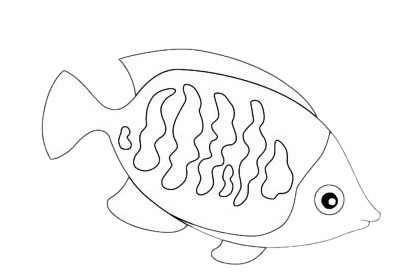 海洋生物热带鱼简笔画画法步骤教程及图片大全