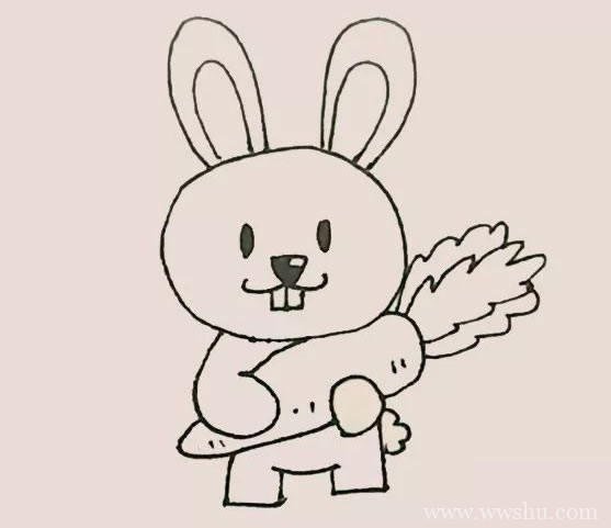 抱着胡萝卜的兔子简笔画彩色画法步骤图解教程