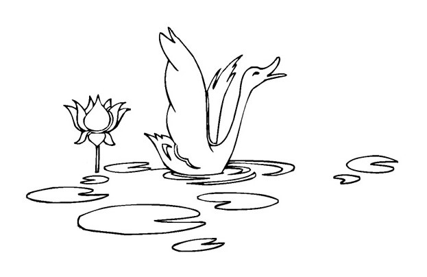 水中的大鹅简笔画图片