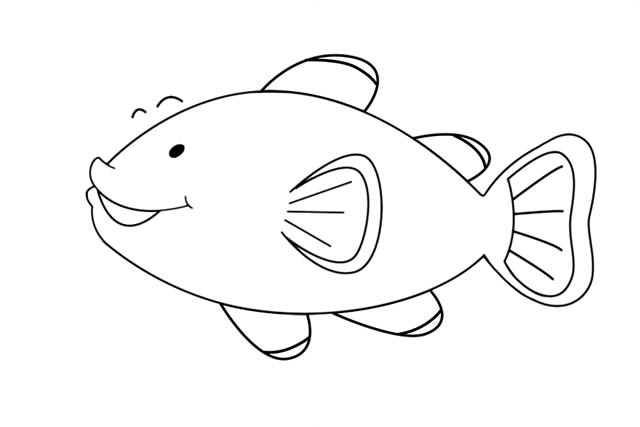 可爱的小丑鱼简笔画步骤图/如何画简单/彩色画法