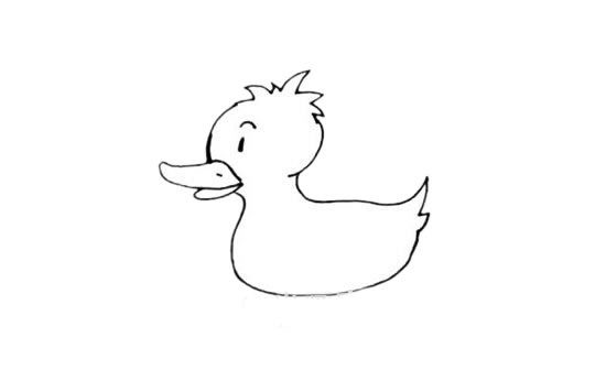 水中的小黄鸭简笔画画法步骤图片大全