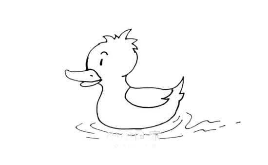 水中的小黄鸭简笔画画法步骤图片大全