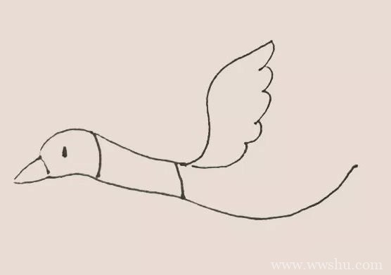 【大雁简笔画】飞翔的大雁简笔画彩色画法步骤图片大全