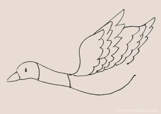【大雁简笔画】飞翔的大雁简笔画彩色画法步骤图片大全