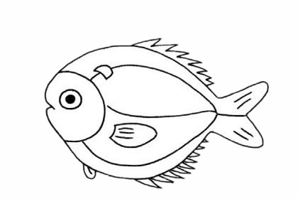 【鲳鱼简笔画】鲳鱼简笔画步骤图解教程及图片大全