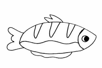 【鲳鱼简笔画】鲳鱼简笔画步骤图解教程及图片大全