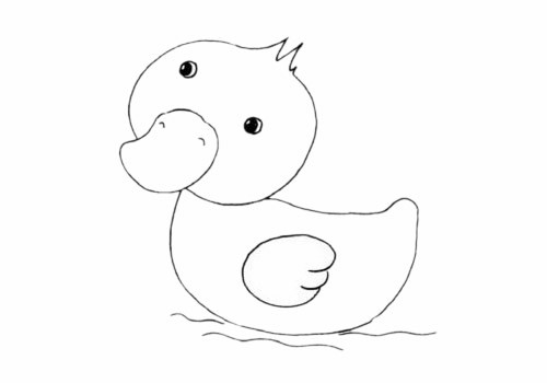 【雏鸭简笔画】可爱的雏鸭简笔画步骤图解教程及图片大全